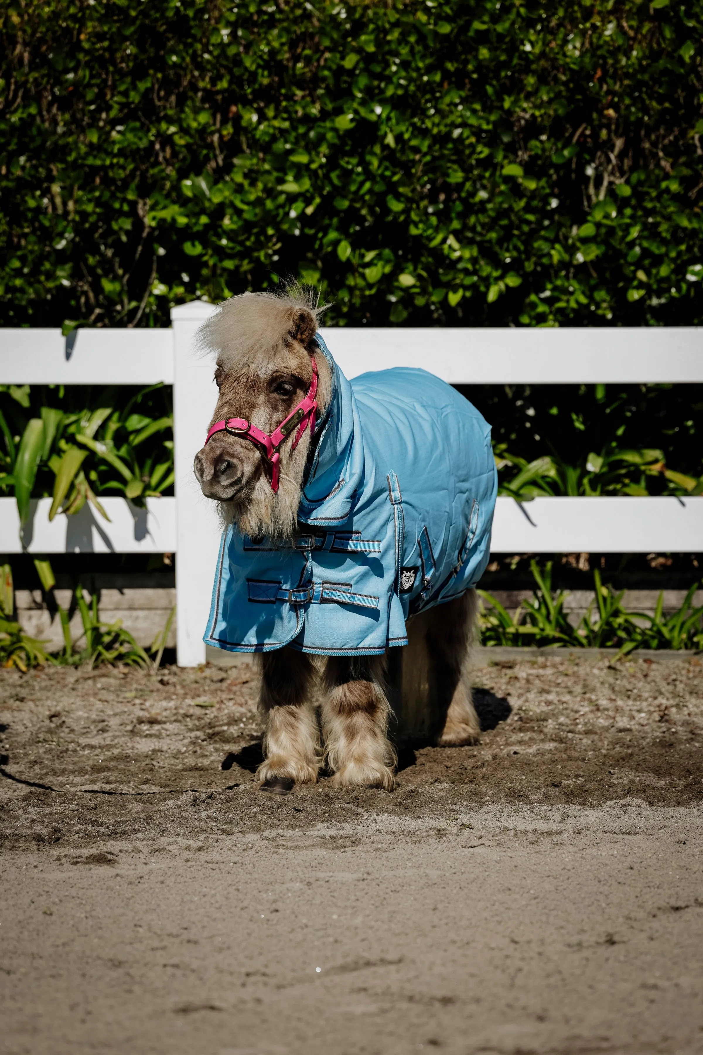 1200D 50g Baby Blue/Grey Combo (Pony)
