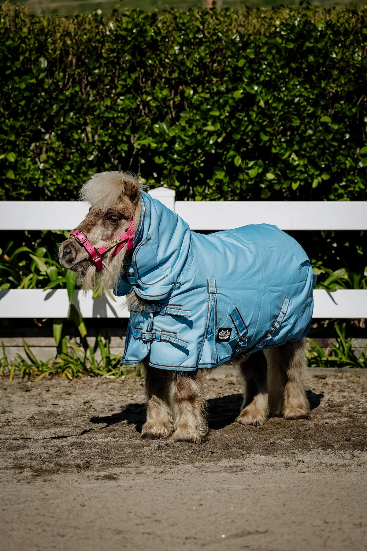1200D 50g Baby Blue/Grey Combo (Pony)