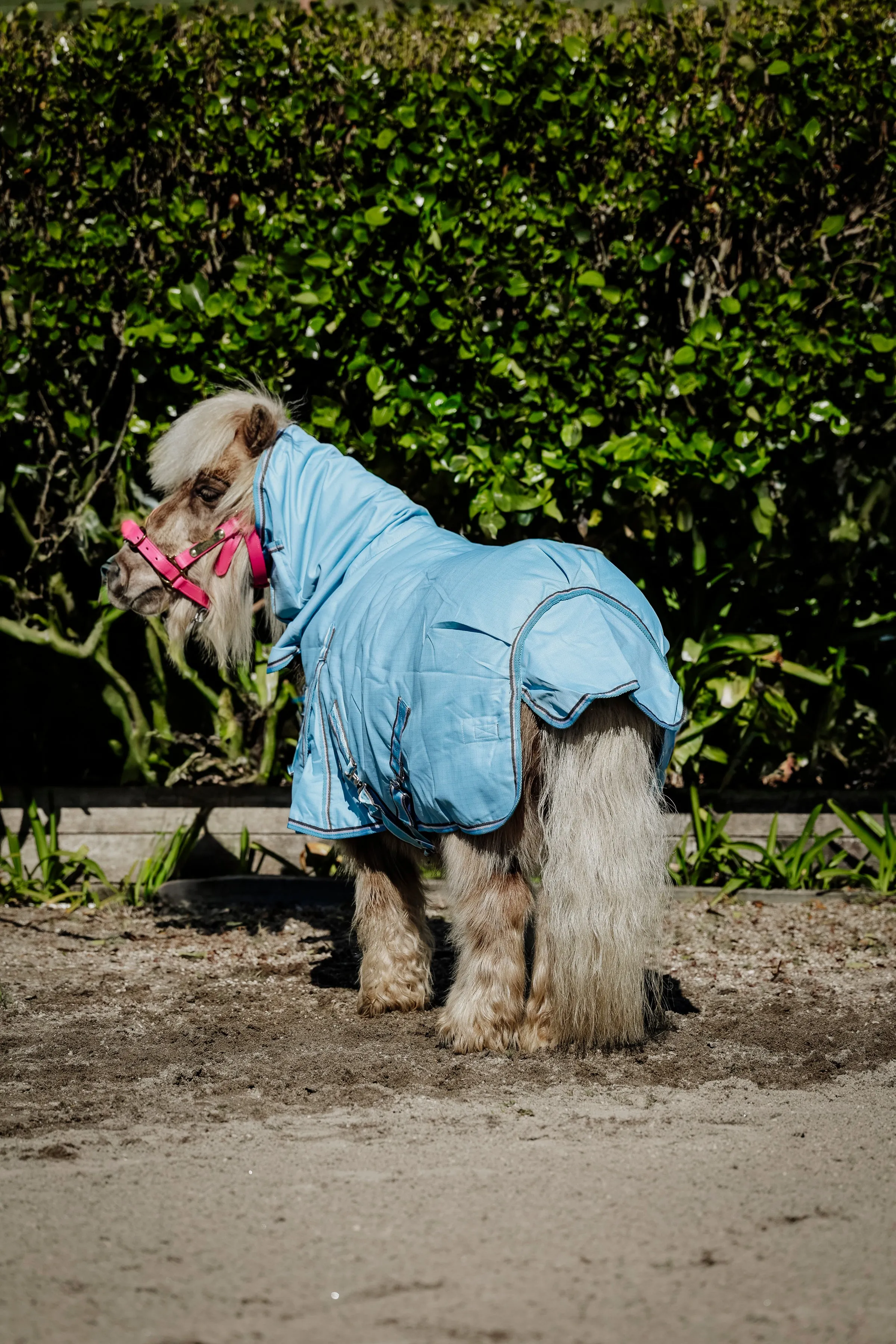1200D 50g Baby Blue/Grey Combo (Pony)