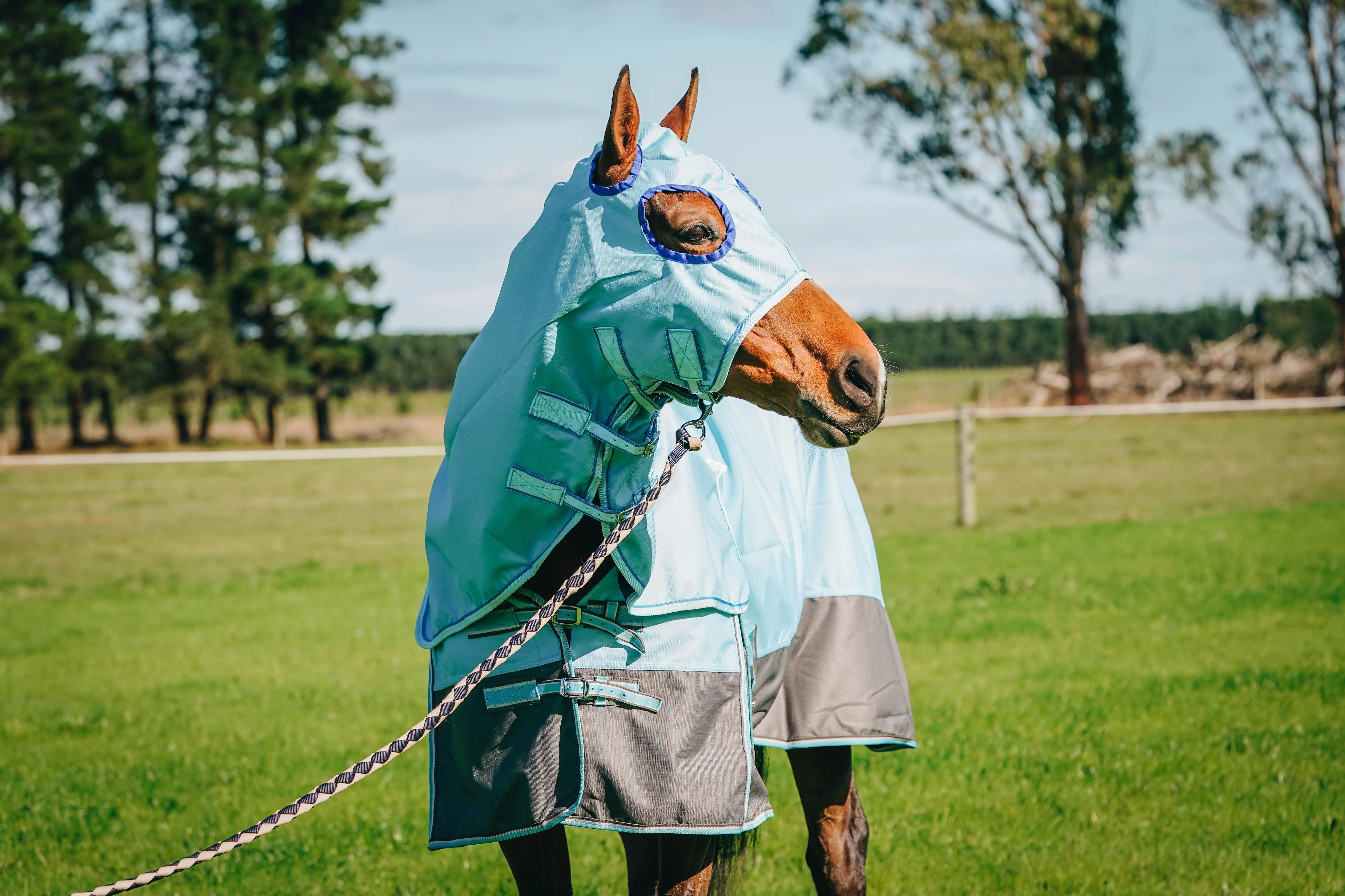 1200D Baby Blue No Fill Waterproof Hoods (Pony & Cob)