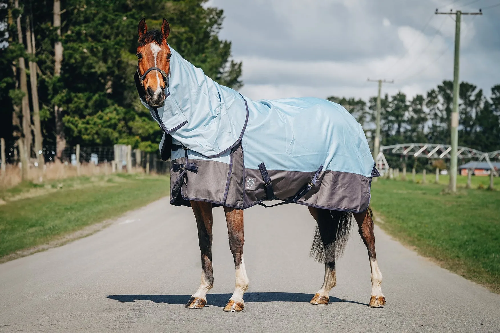 1200D No Fill Baby Blue Combo (Pony)