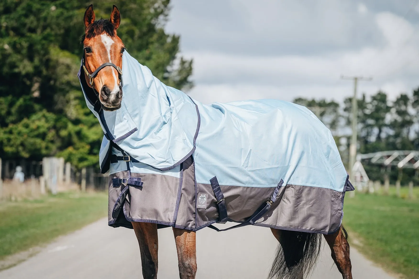 1200D No Fill Baby Blue Combo (Pony)