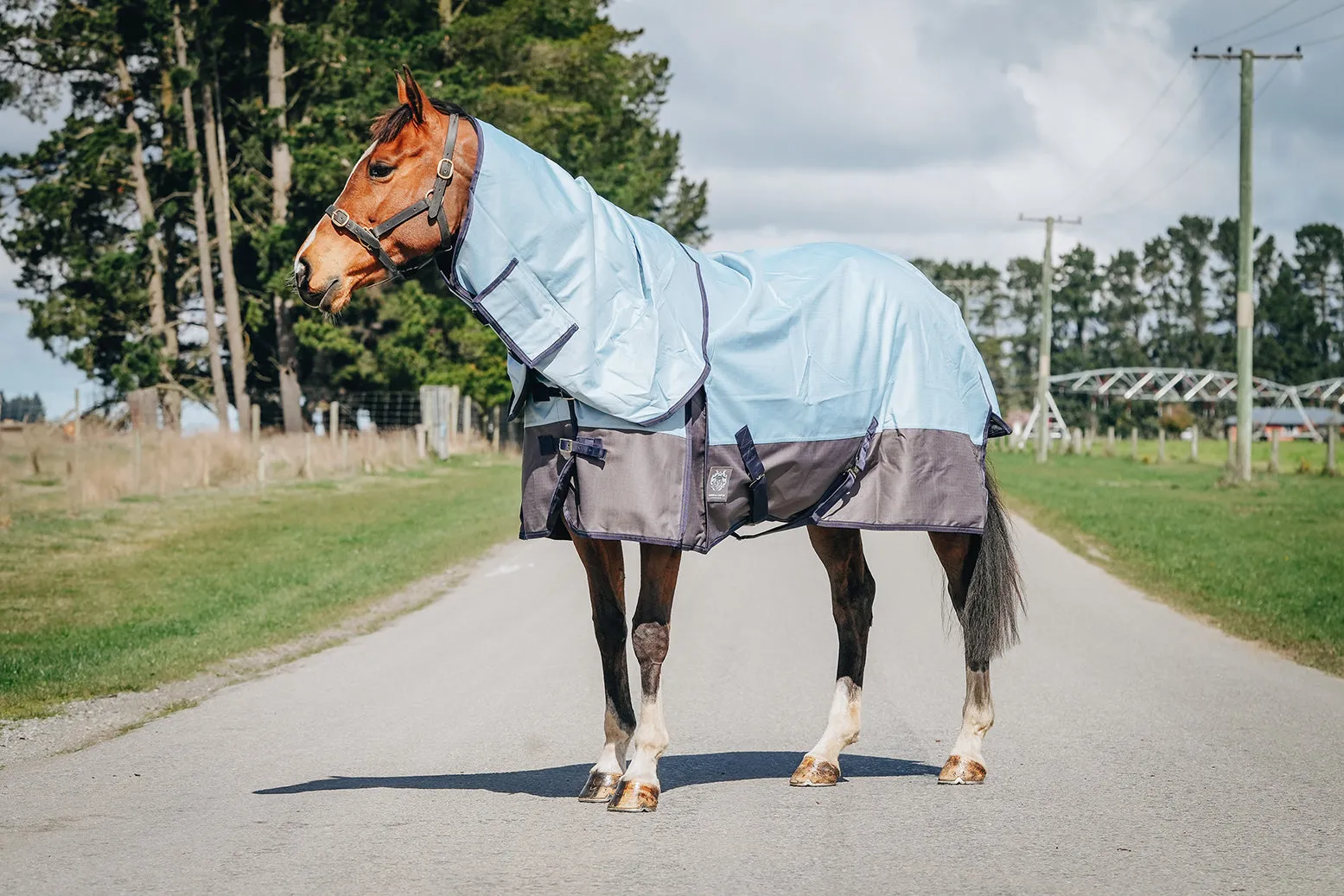 1200D No Fill Baby Blue Combo (Pony)