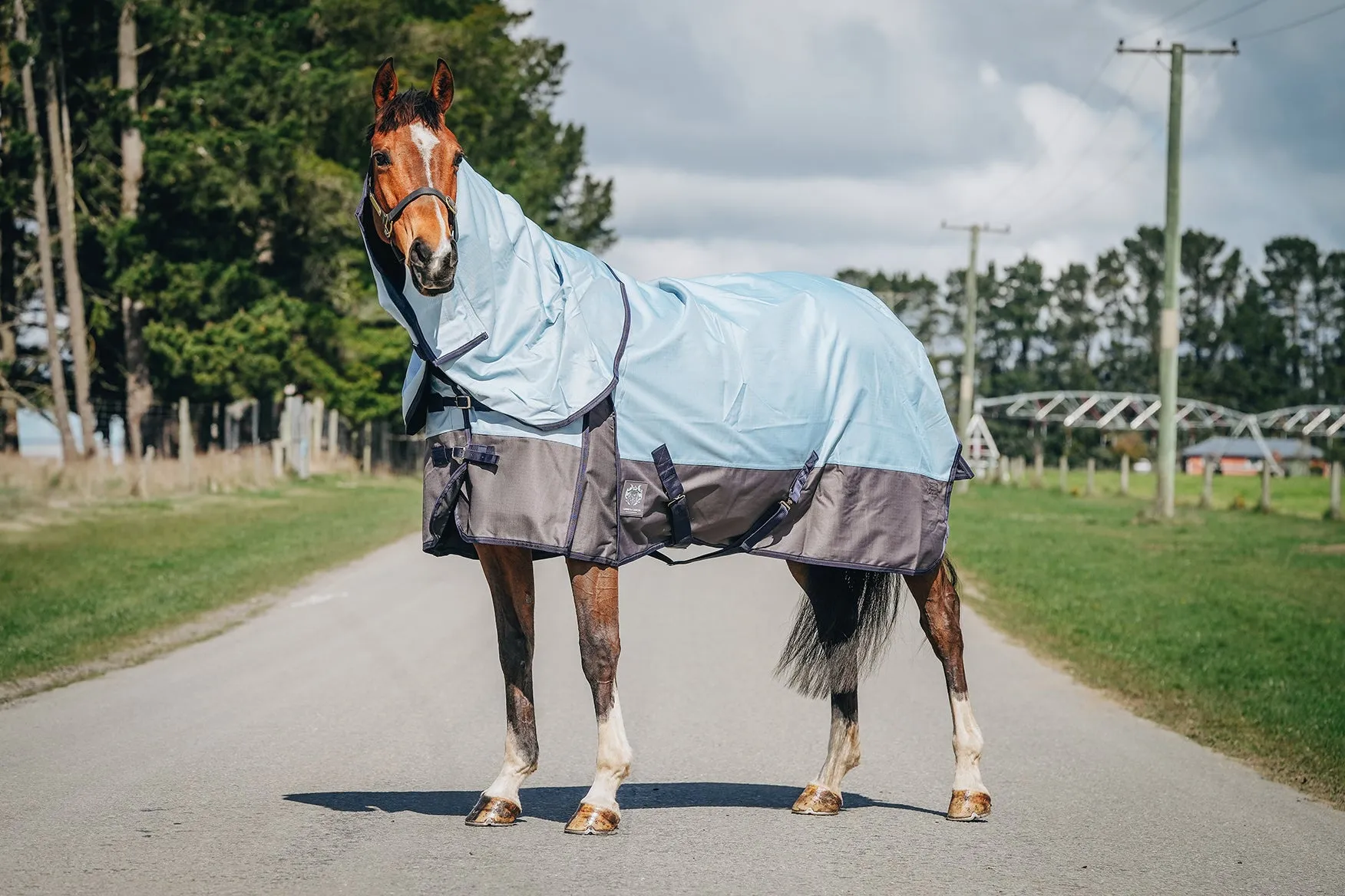 1200D No Fill Baby Blue Combo (Pony)