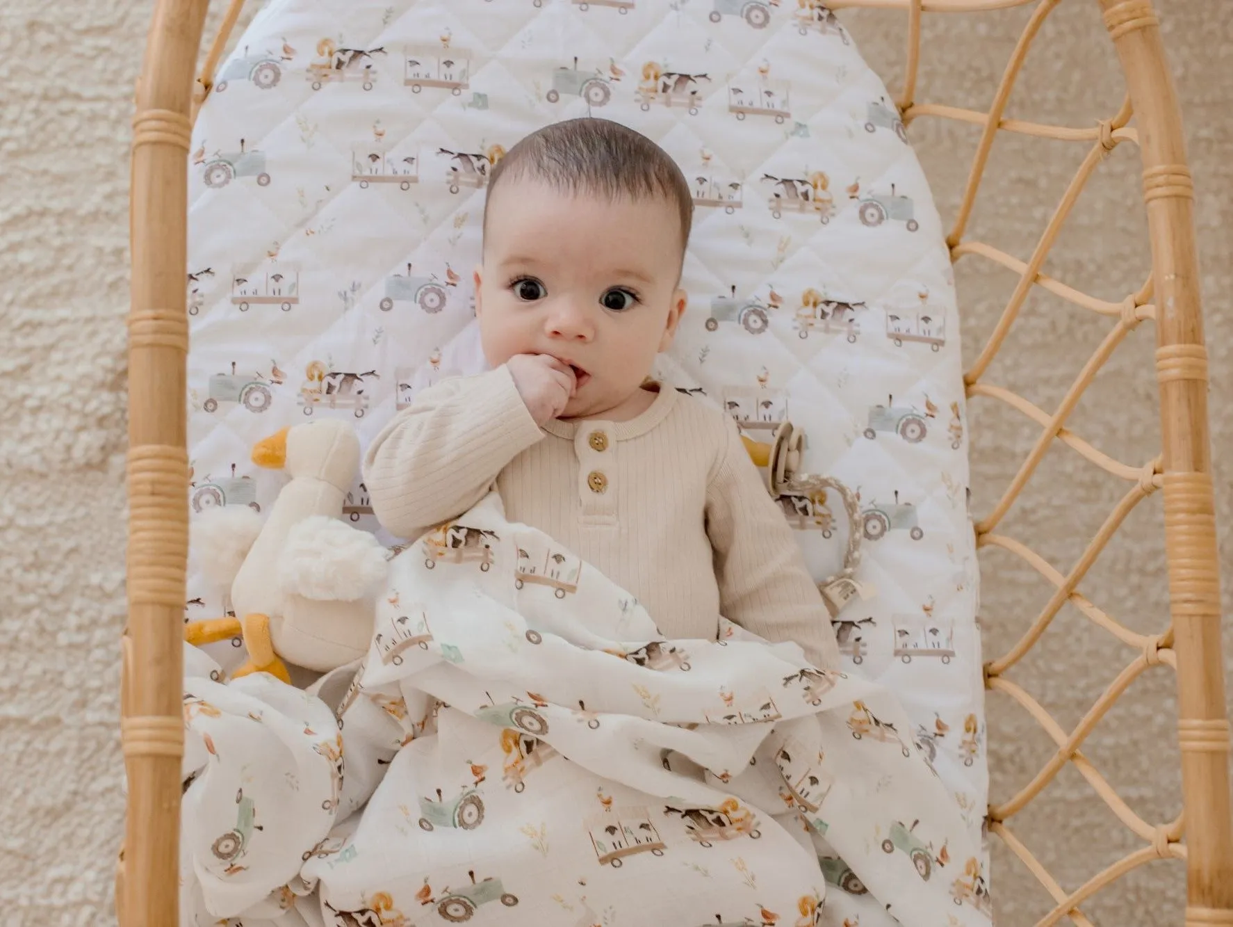 Bambella Designs Waterproof Bassinet Sheet/Change Mat Cover | Oakwood Farm