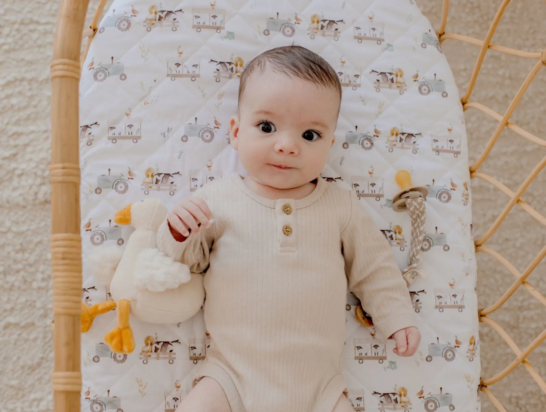 Bambella Designs Waterproof Bassinet Sheet/Change Mat Cover | Oakwood Farm