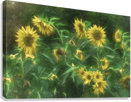 Beautiful Blooms