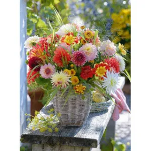 Beautiful Flowers 500 Puzzle