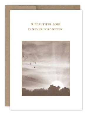 BEAUTIFUL SOUL