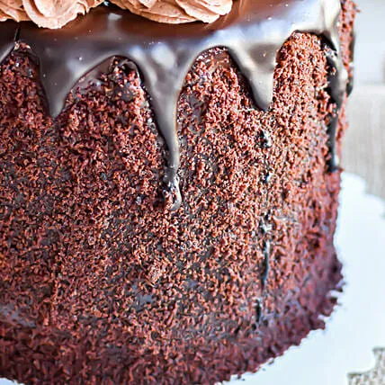 Beautiful Truffle Cake