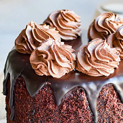 Beautiful Truffle Cake