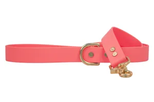 Coral Biothane 2' Traffic Leash