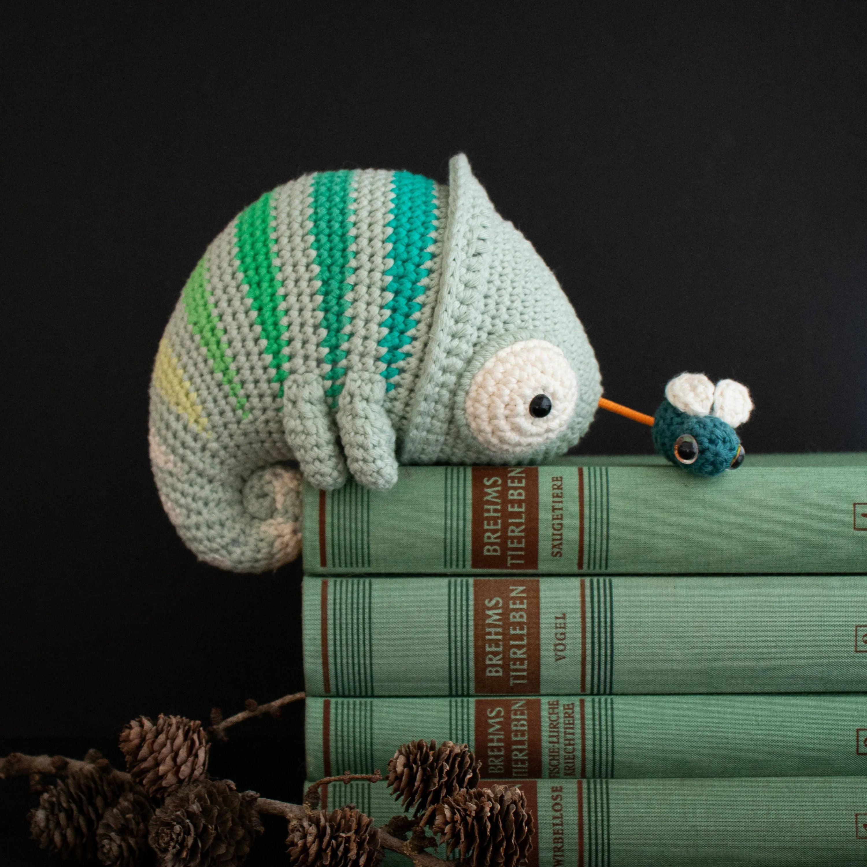 Crochet Kit . Chameleon Conrad . Musical Toy