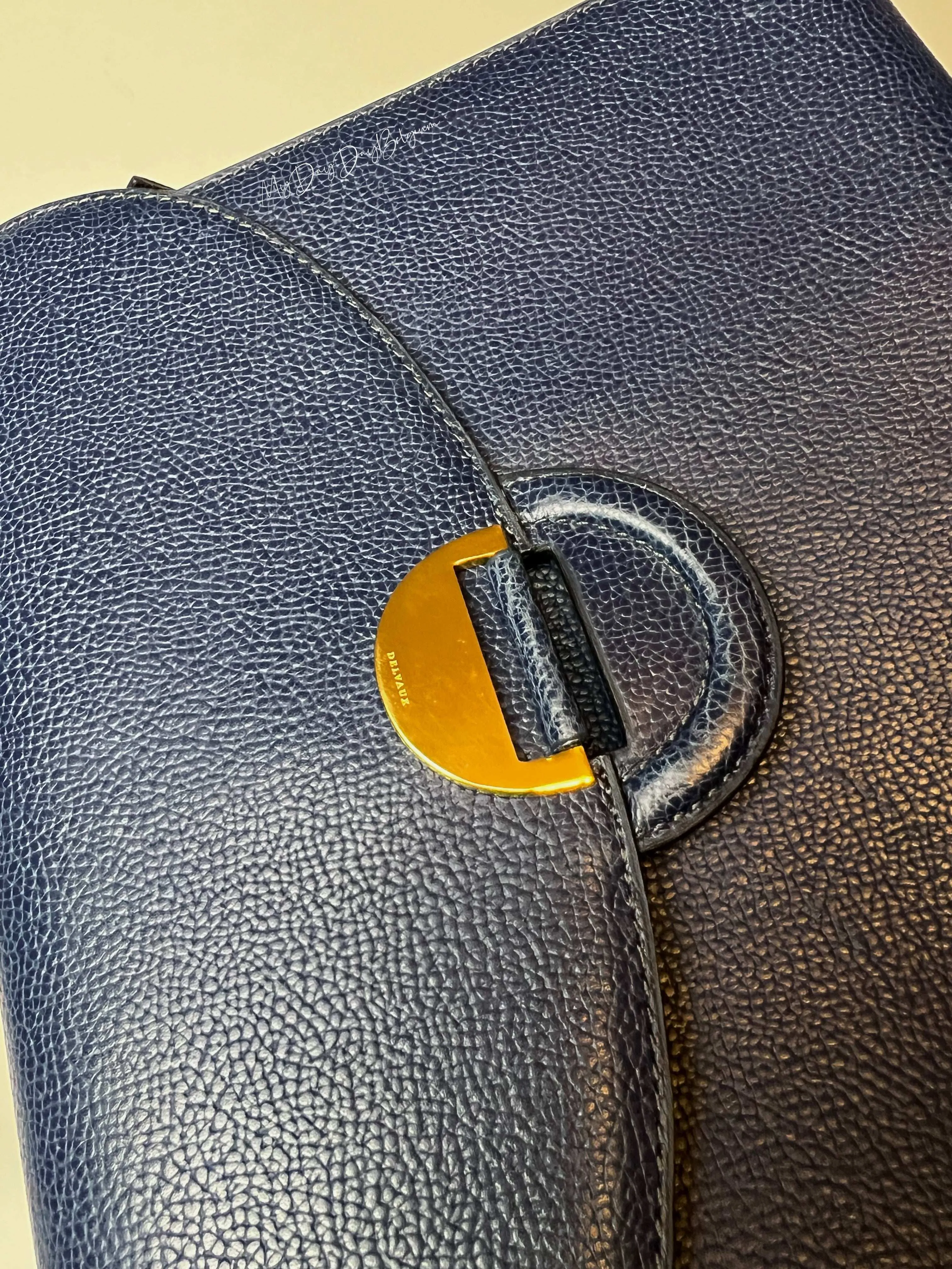 Delvaux vintage crossbody bag 1997