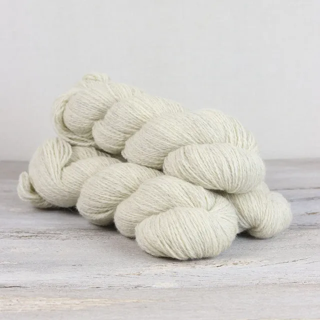 Echinacea Kit (Serene)