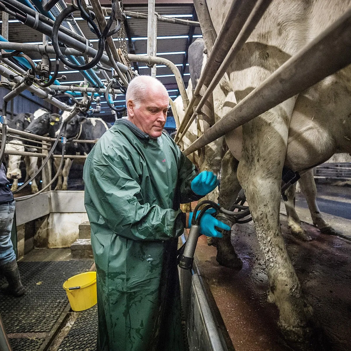 Flexothane Dairy Gown