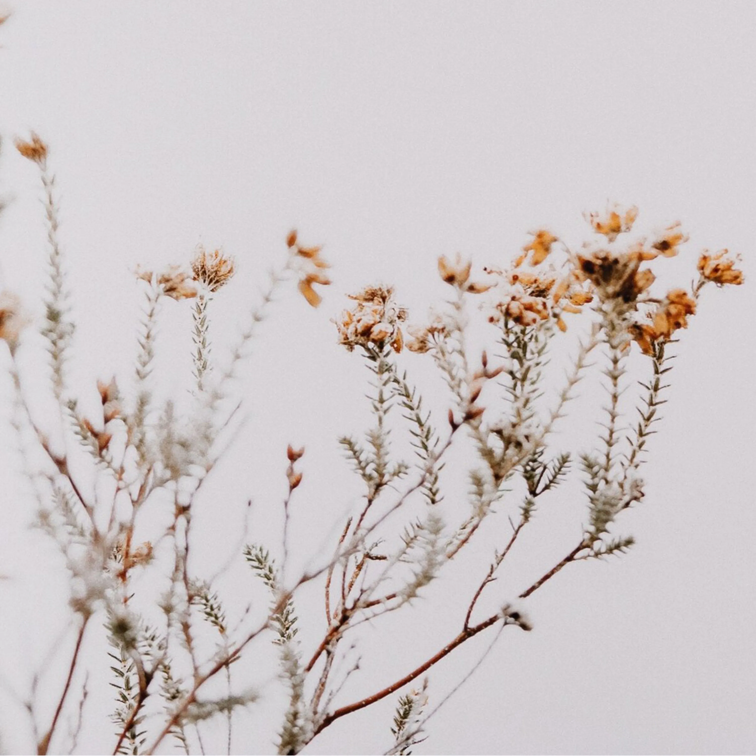 In the Details I