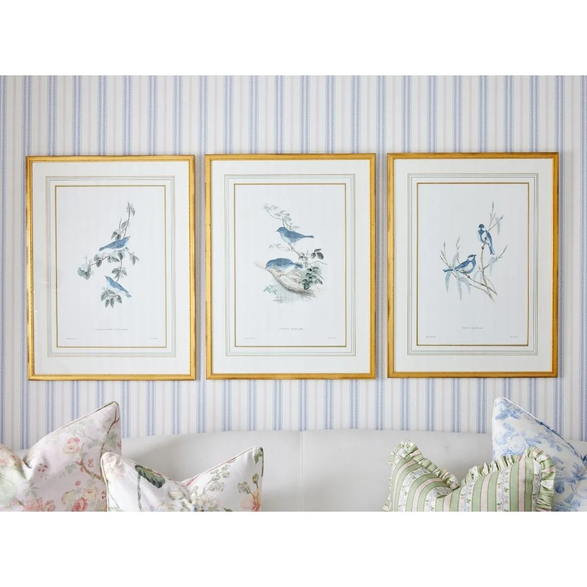 J. Gould Print 1