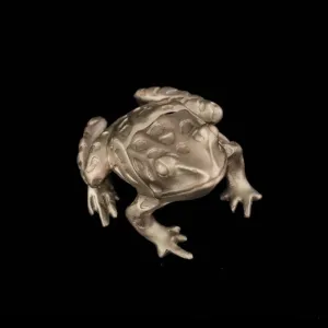 Pewter Leopard Frog Box