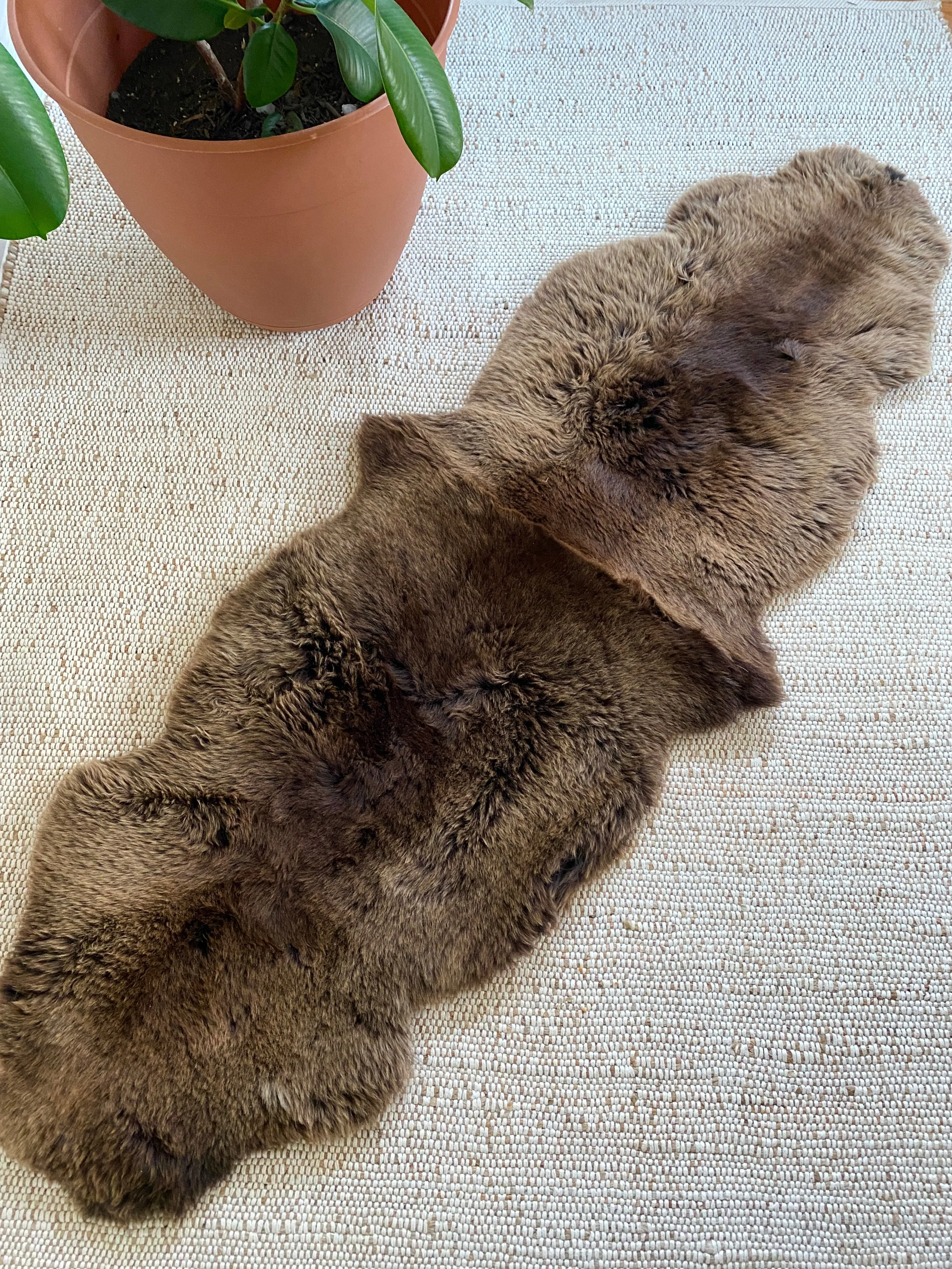Vibrant Brown Double Sheepskin