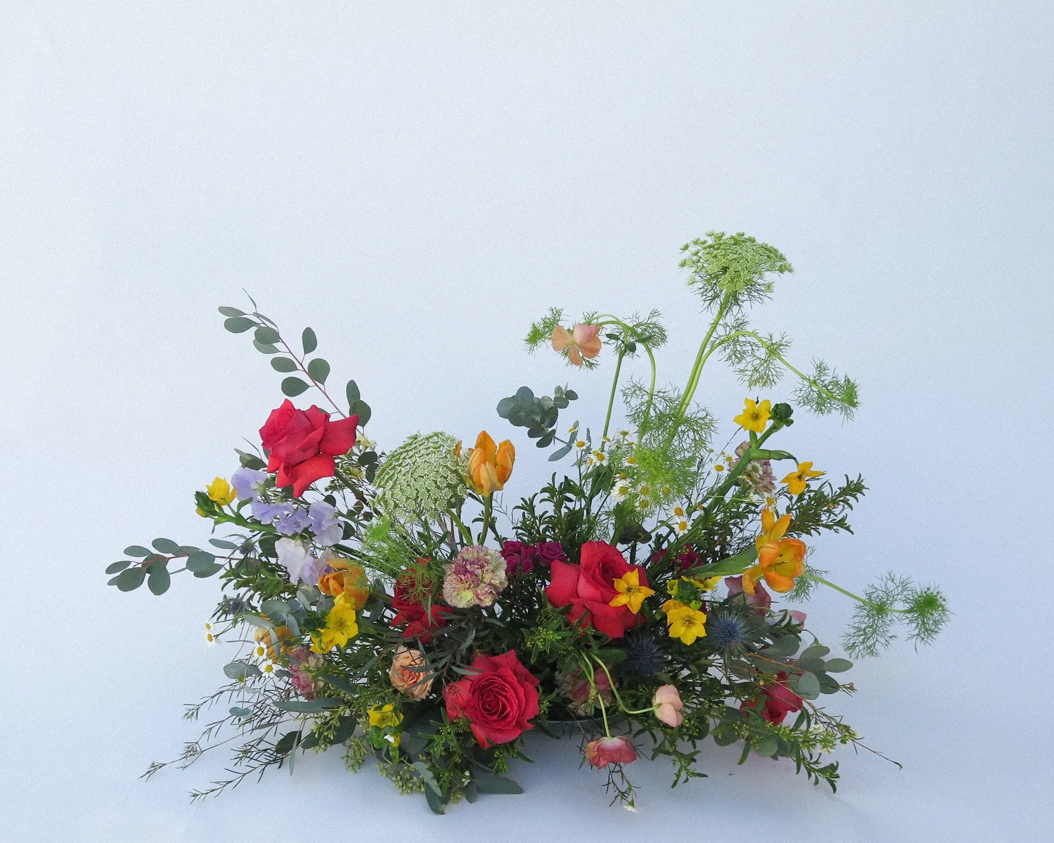 Vibrant Small Ground Spray