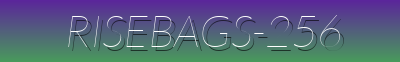 Luxury Bags & Stylish Accessories | RiseBags